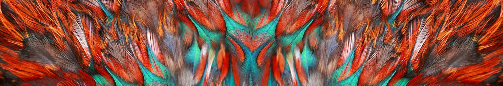 Inside the Numbers: How ProQuest Research Assistant Is Powering Smarter Research